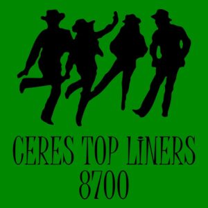 Ceres Top Liners 8700