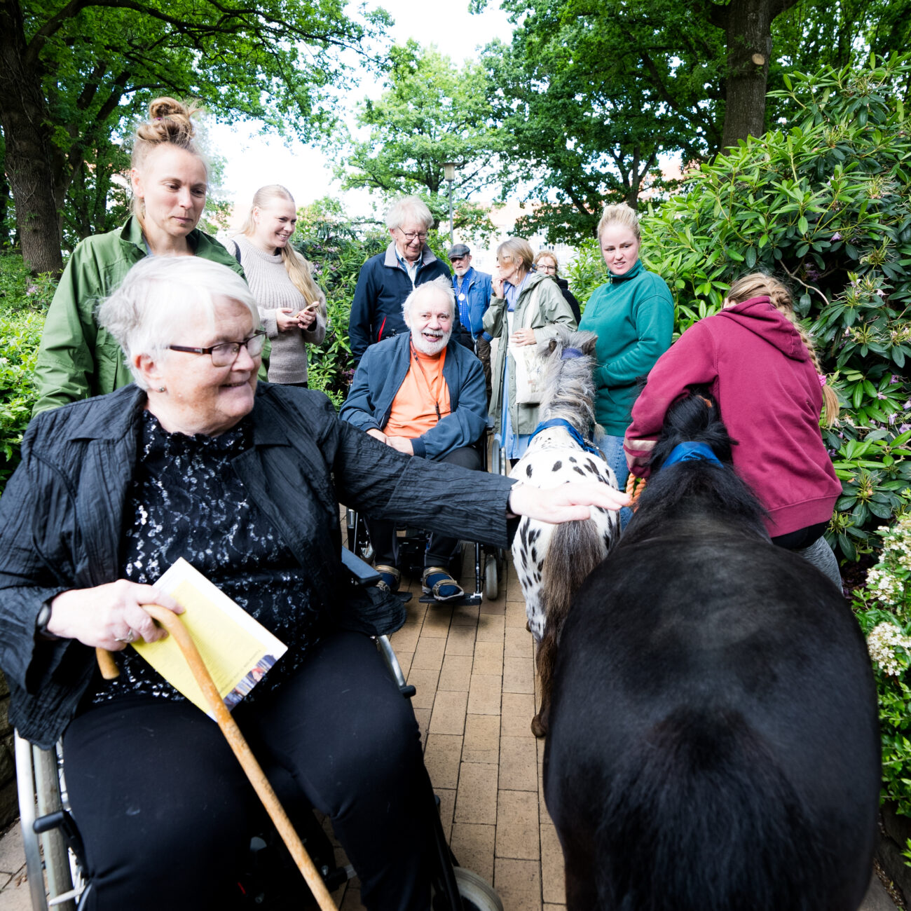 Horsens holder torsdag - Jimmi Hjorth (10)