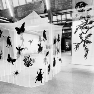 Workshop: Flora & Fauna