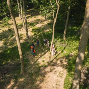 Sansevandring – Oplev Naturens Magi