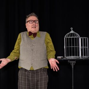 Teater for børn: Birdy