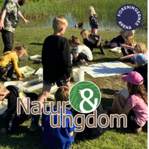 Naturleg og læring med Natur & ungdom